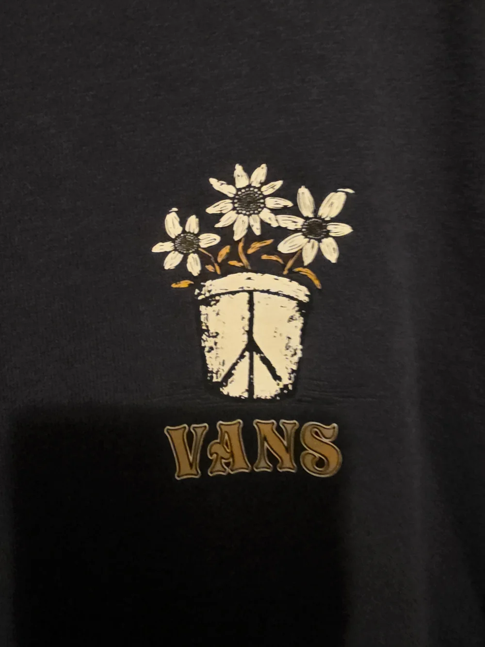VANS Hoodie Men's THINK GREEN Skateboard Pullover Size Large